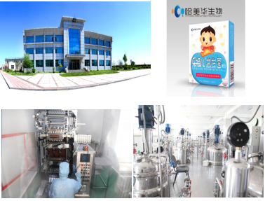 哈爾濱美華生物技術股份 深耕益生菌研發，引領大健康產業創新